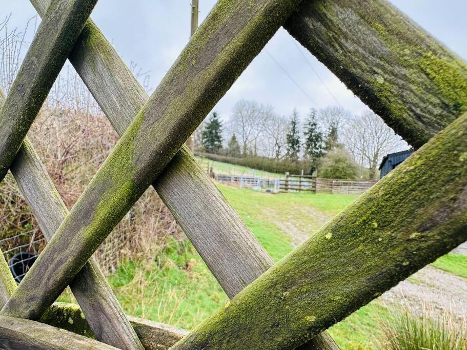 Upper Caerfaelog Farmhouse Llanbister ภายนอก รูปภาพ